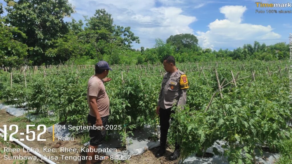 9ce3f250-d155-418a-af55-b1186cff557a