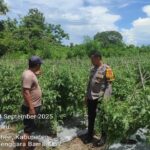 9ce3f250-d155-418a-af55-b1186cff557a