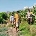 WhatsApp Image 2025-09-08 at 11.01.27