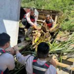 WhatsApp Image 2025-09-13 at 10.51.14