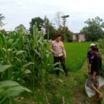 WhatsApp Image 2025-09-16 at 10.32.33