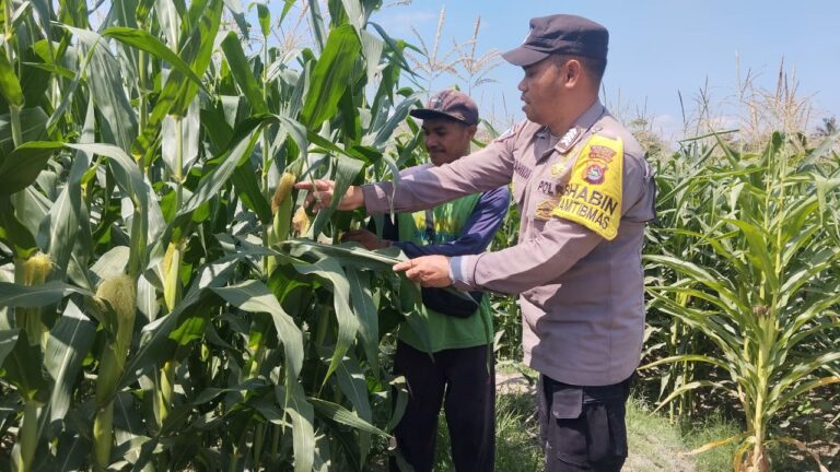 WhatsApp Image 2025-09-16 at 11.47.07