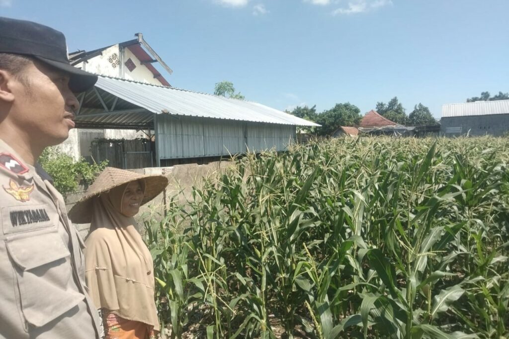 Sinergi Polri dan Petani di Desa Labuapi untuk Perkuat Ketahanan Pangan Nasional