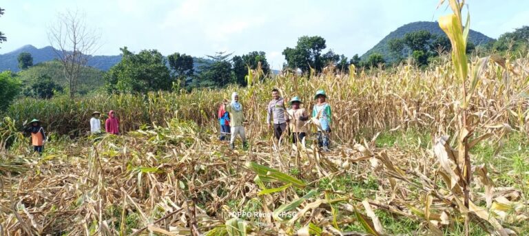 WhatsApp Image 2025-09-20 at 12.20.15