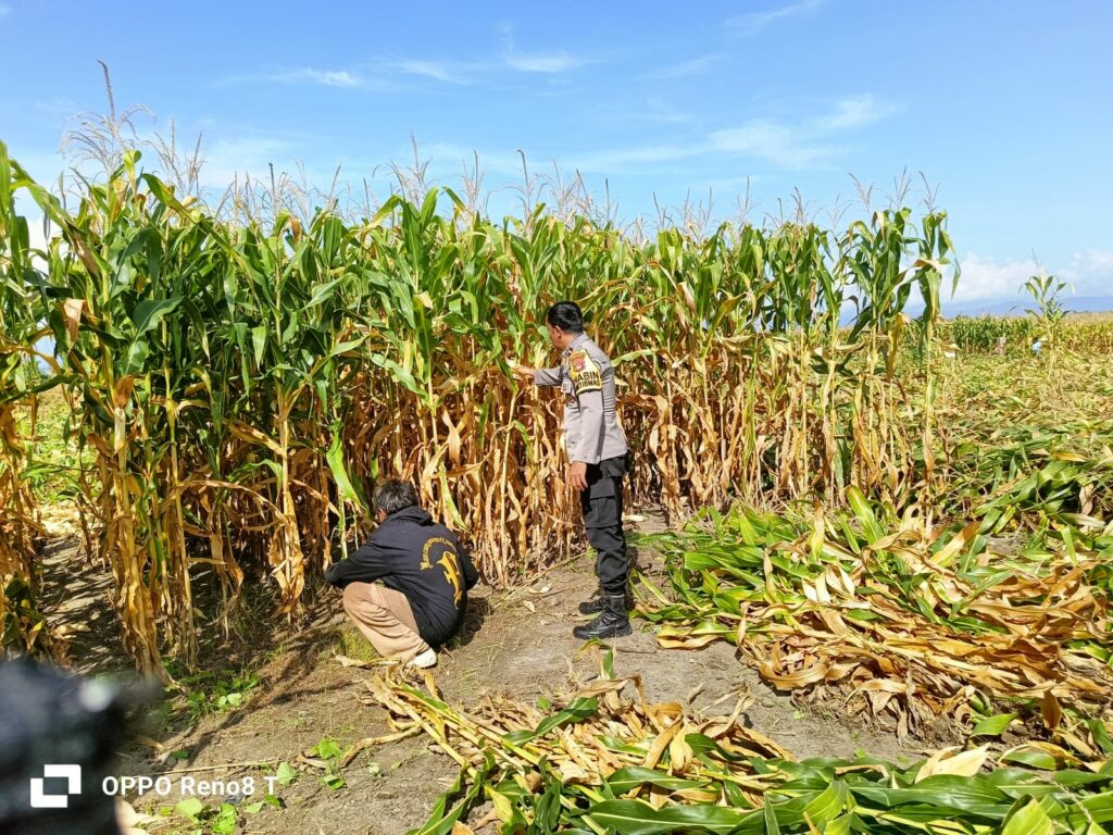 WhatsApp Image 2025-09-21 at 21.28.11