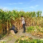 WhatsApp Image 2025-09-21 at 21.28.11