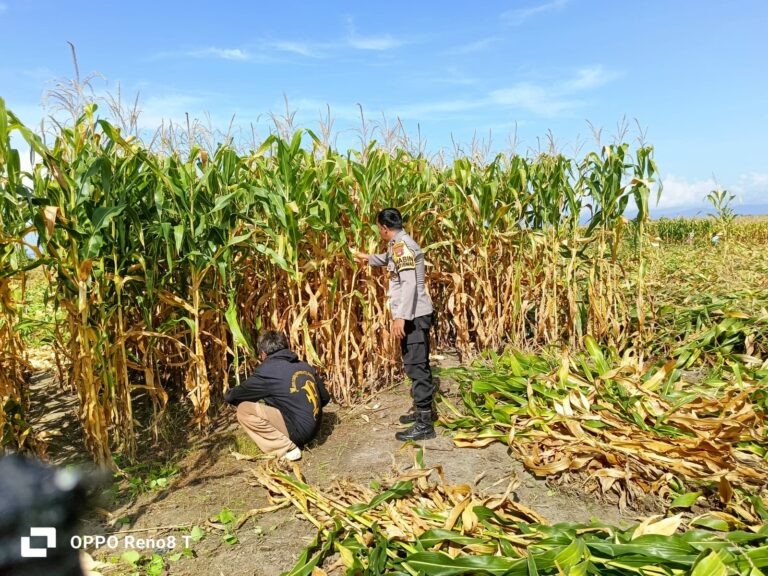 WhatsApp Image 2025-09-21 at 21.28.11