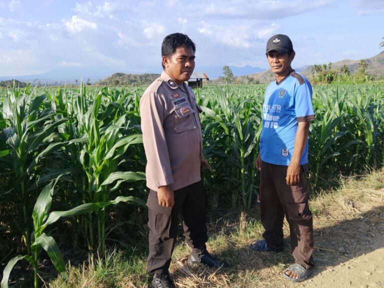 WhatsApp Image 2025-09-23 at 12.45.15