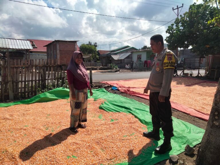 WhatsApp Image 2025-09-24 at 10.01.15