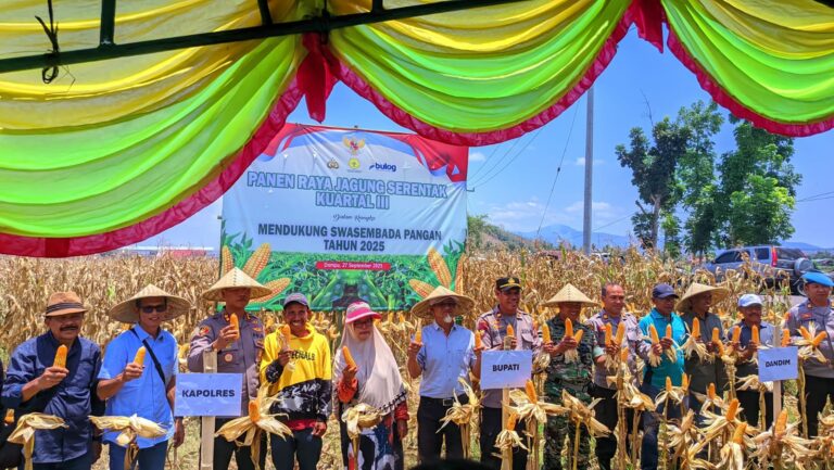 WhatsApp Image 2025-09-27 at 16.10.37