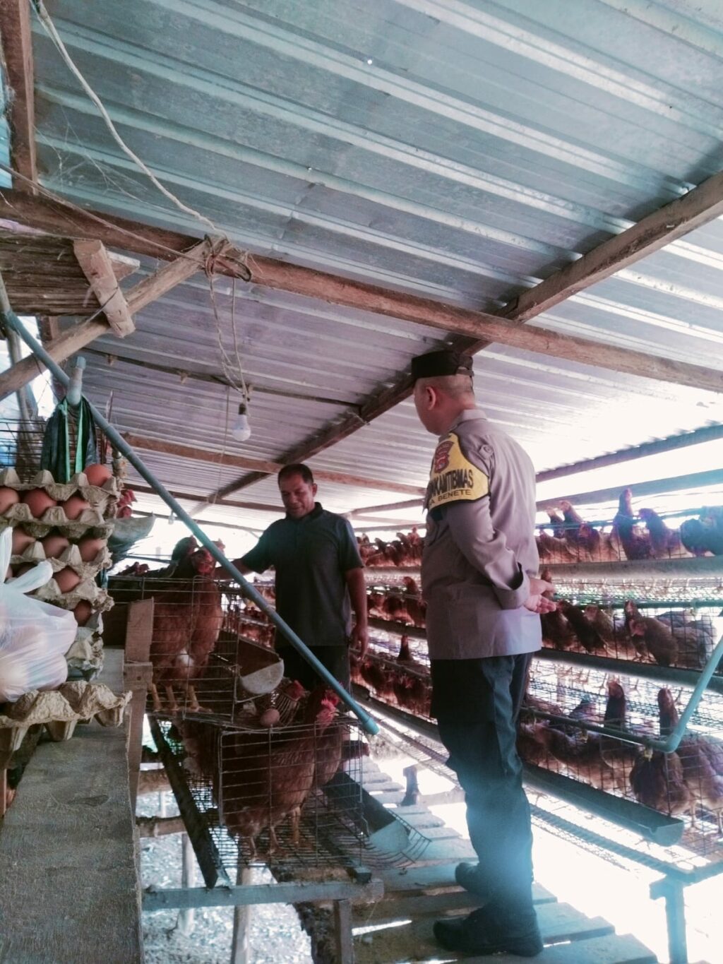 WhatsApp Image 2025-09-28 at 10.05.01