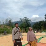 WhatsApp Image 2025-09-28 at 14.28.11