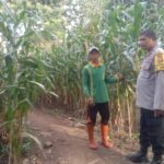 WhatsApp Image 2025-09-29 at 13.19.04