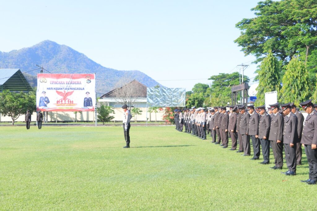 WhatsApp Image 2025-10-01 at 08.19.18