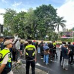 WhatsApp Image 2025-10-01 at 19.54.48