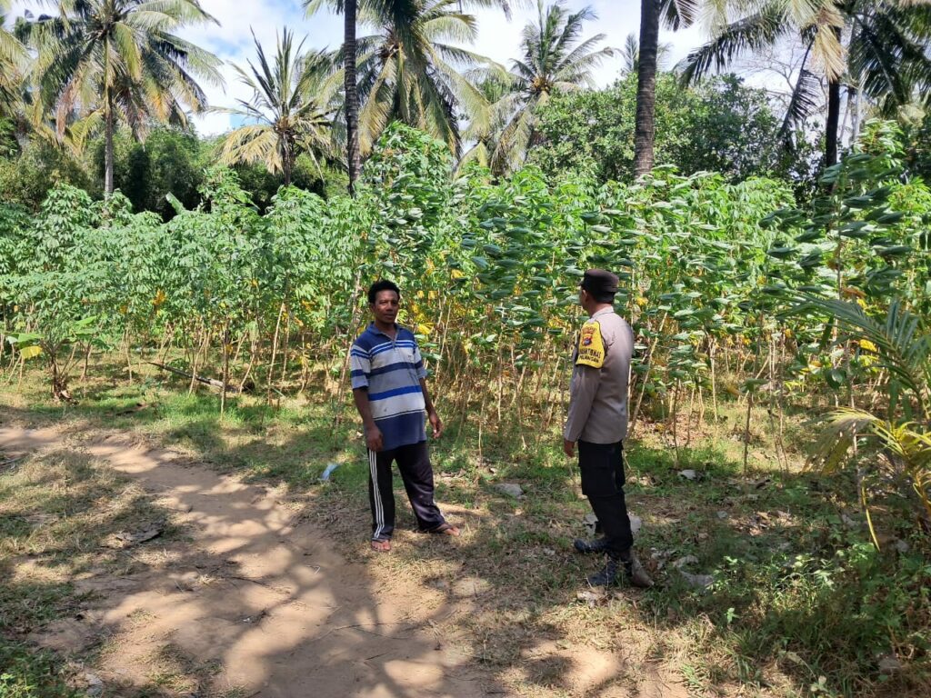 Sinergi Polsek Sekotong dan Warga Pelangan dalam Mewujudkan Kemandirian Pangan