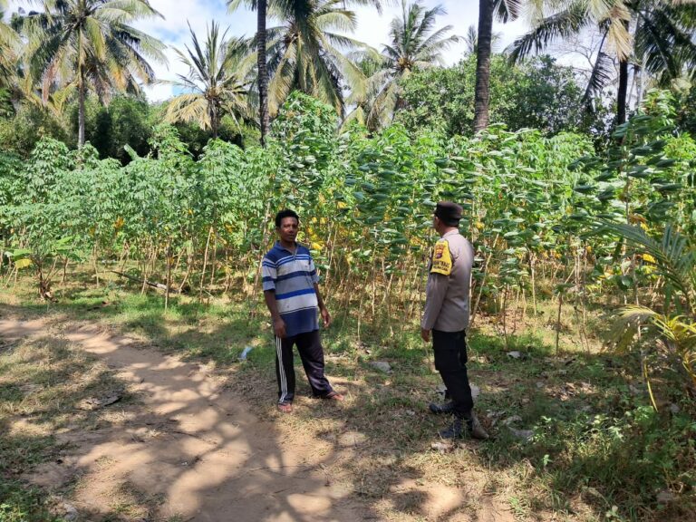 Sinergi Polsek Sekotong dan Warga Pelangan dalam Mewujudkan Kemandirian Pangan