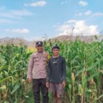 WhatsApp Image 2025-10-02 at 13.34.29