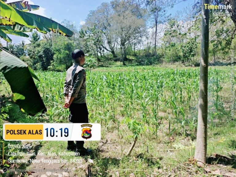 WhatsApp Image 2025-10-03 at 07.19.03_9ce3d841