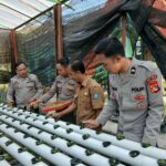 WhatsApp Image 2025-10-06 at 11.55.06