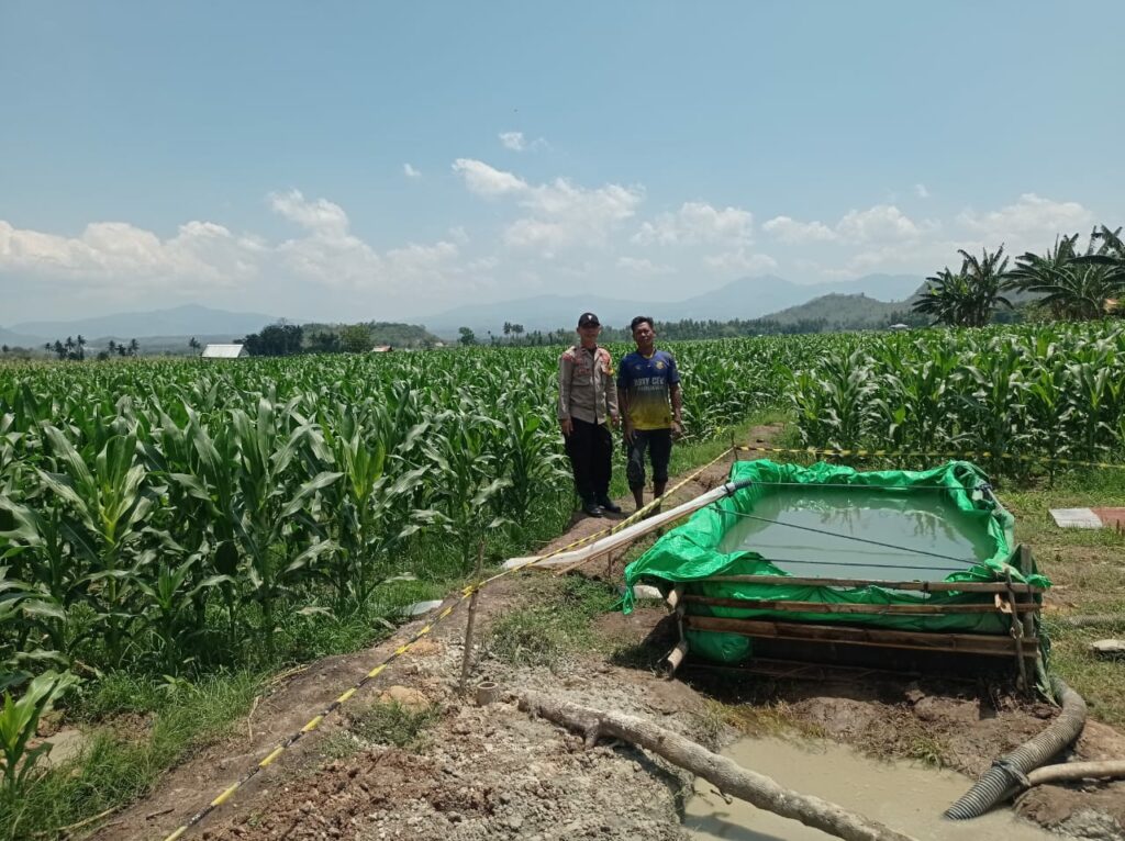 WhatsApp Image 2025-10-06 at 15.48.05