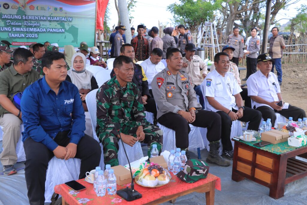 WhatsApp Image 2025-10-08 at 12.22.45