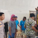 Petani Lega! Jagung Kering Terserap Bulog dengan Harga Acuan Pemerintah