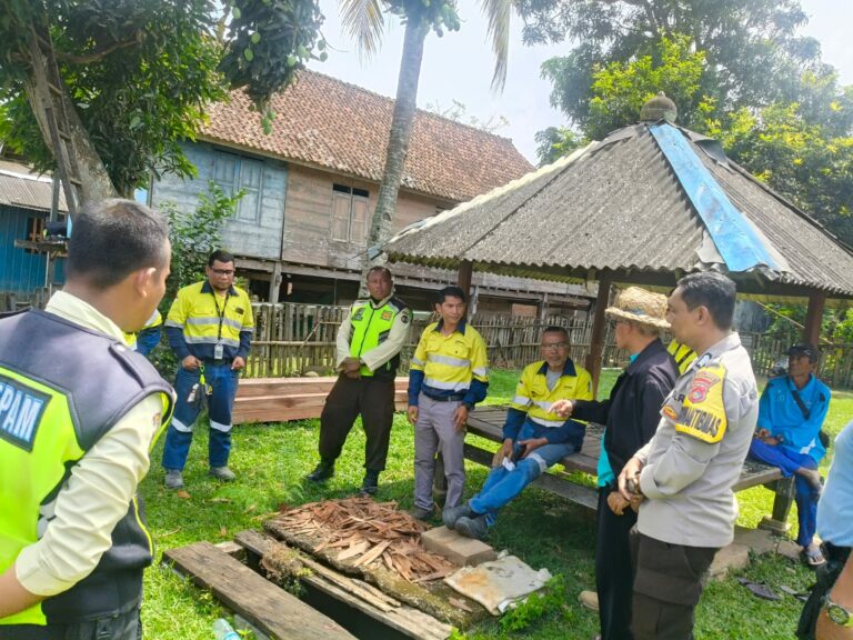 WhatsApp Image 2025-10-10 at 09.45.02