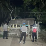Polsek Sekotong Gencar Patroli Dini Hari, Fokus Amankan Ternak Warga