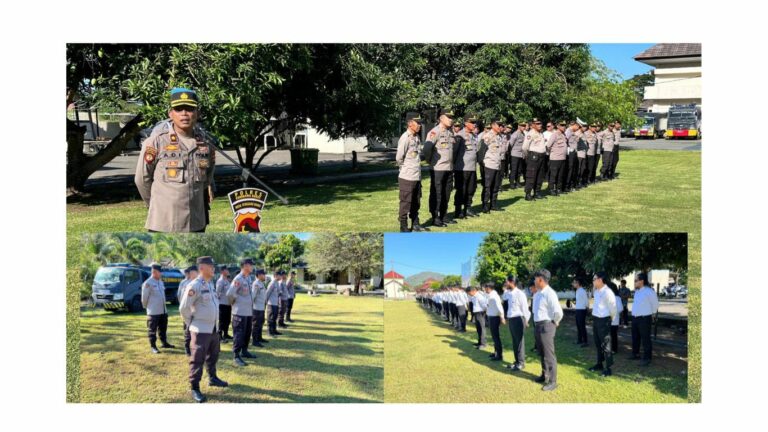 WhatsApp Image 2025-10-13 at 09.03.46