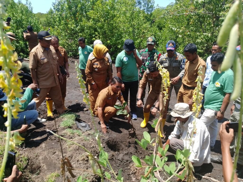 WhatsApp Image 2025-10-13 at 19.17.29