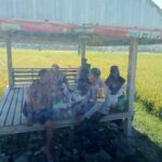 WhatsApp Image 2025-10-14 at 09.09.03