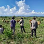 WhatsApp Image 2025-10-16 at 08.46.19 (1)