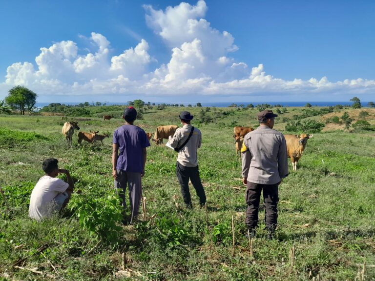 WhatsApp Image 2025-10-16 at 08.46.19 (1)