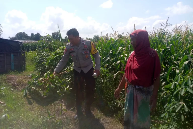 Bhabinkamtibmas dan Petani Bersatu Perkuat Ketahanan Pangan Lokal