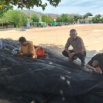 WhatsApp Image 2025-10-20 at 11.42.35 (1)