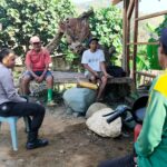 WhatsApp Image 2025-10-23 at 11.39.05