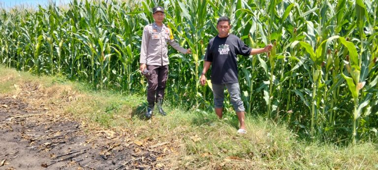 WhatsApp Image 2025-10-23 at 18.54.00