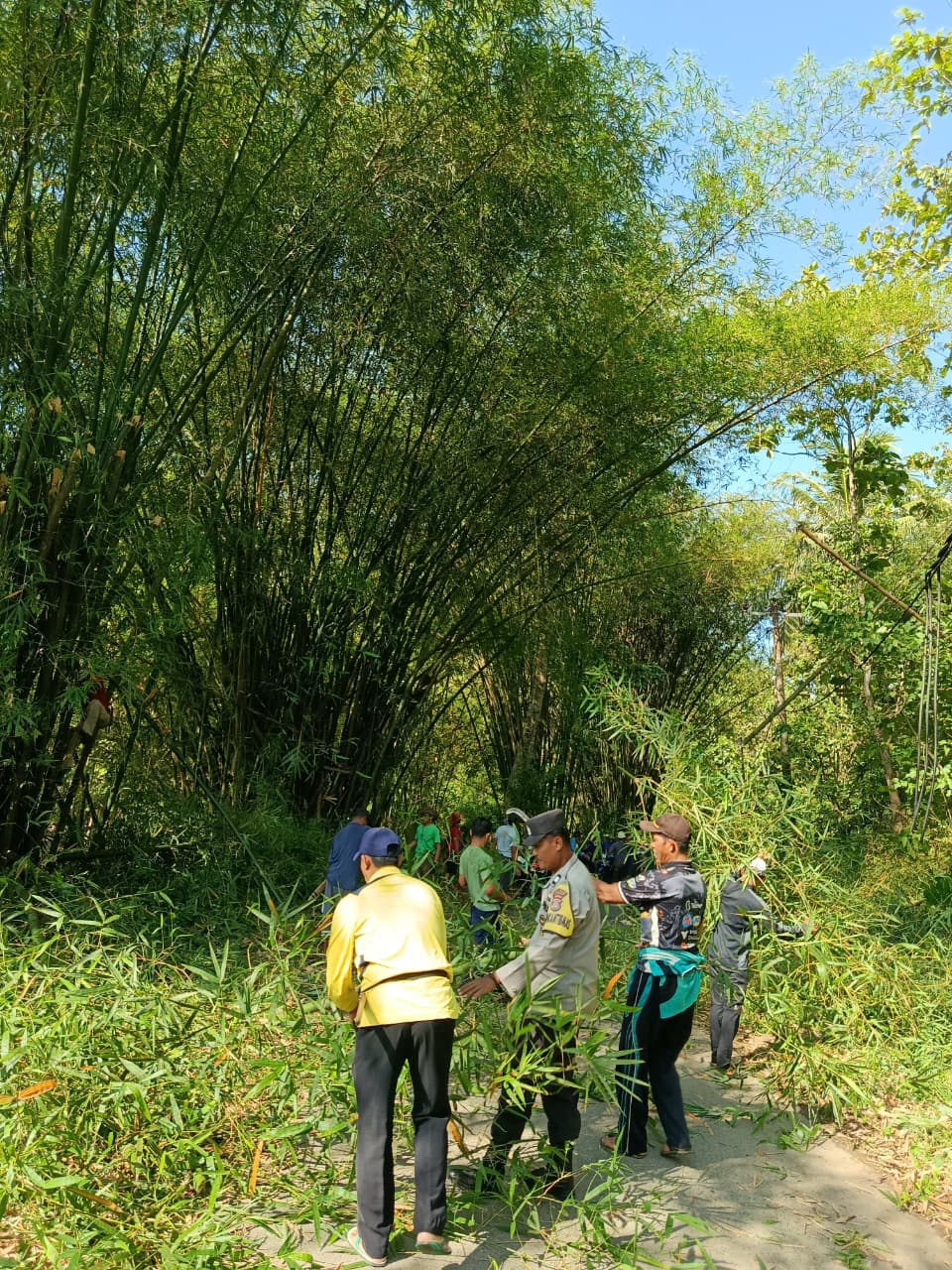 WhatsApp Image 2025-10-25 at 09.27.02