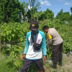 Bhabinkamtibmas Ajak Warga Optimalkan Pekarangan untuk Ketahanan Pangan