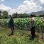 WhatsApp Image 2025-10-26 at 22.12.40