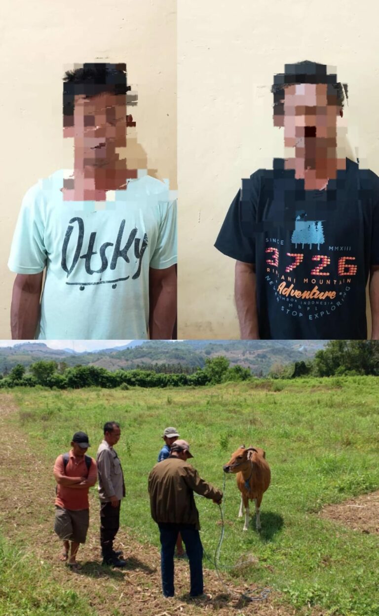 WhatsApp Image 2025-10-27 at 08.52.47_de7a4a5b