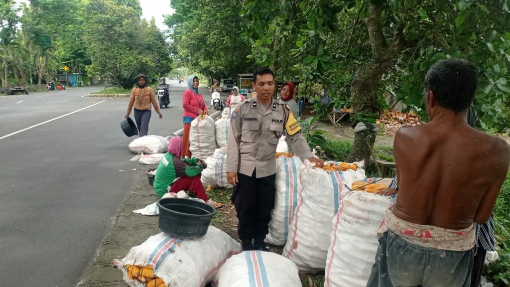 Sinergi Petani dan Polri di Lombok Barat Hasilkan Panen Jagung Melimpah