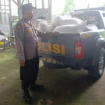 Polisi Turun ke Ladang, Pastikan Jagung Petani Lembar Terserap BULOG