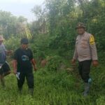 WhatsApp Image 2025-10-29 at 19.32.08