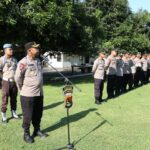 WhatsApp Image 2025-11-03 at 07.44.31