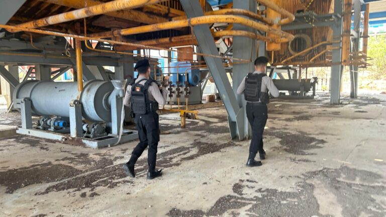 WhatsApp Image 2025-11-04 at 09.17.42