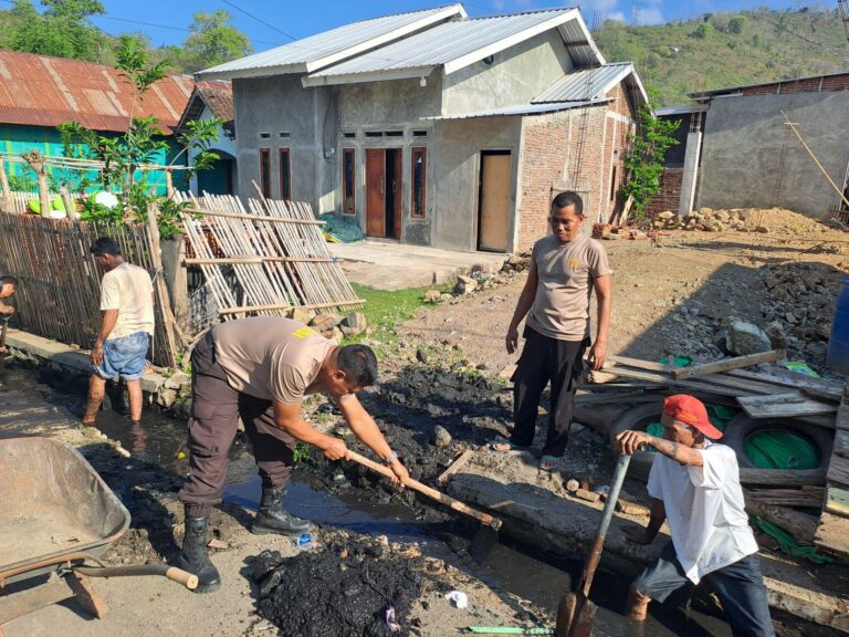 WhatsApp Image 2025-11-04 at 10.01.12