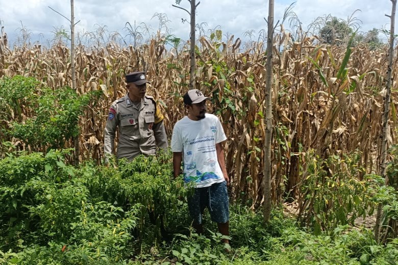 Langkah Praksis Polsek Gerung: Edukasi Pemanfaatan Lahan Kosong