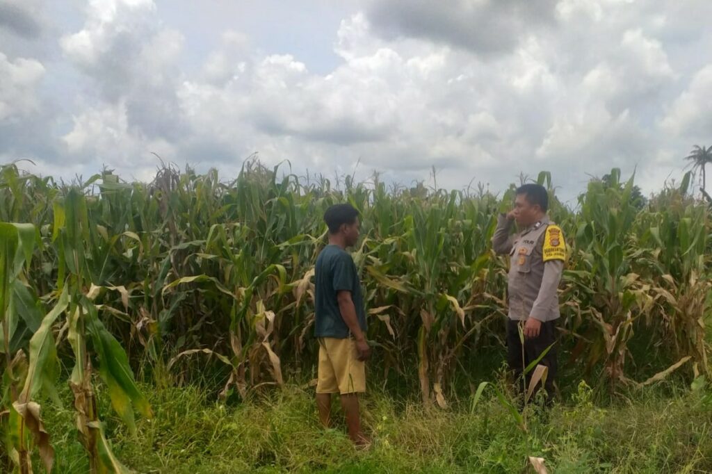 Sinergi Polri dan Warga Wujudkan Kemandirian Pangan di Lombok Barat
